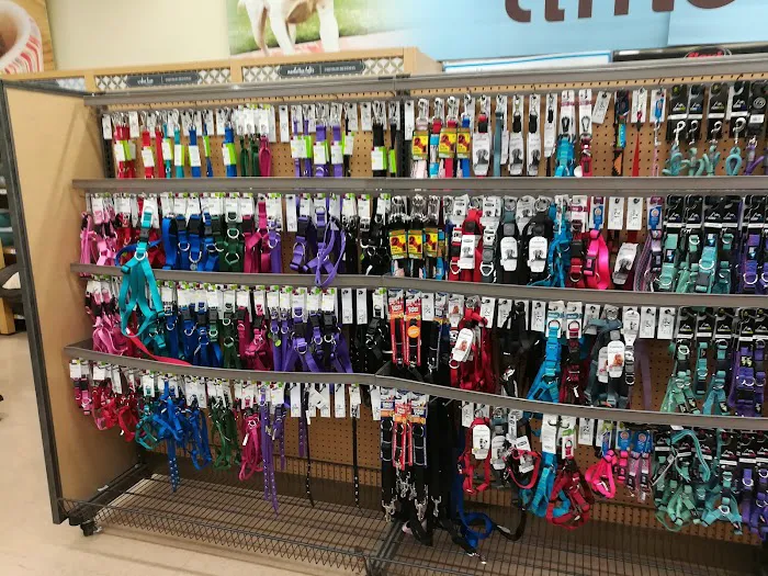 Petco Picture 4