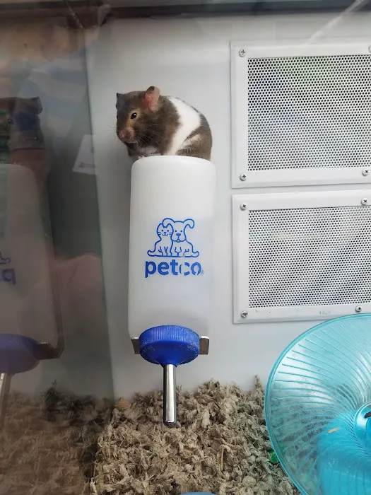 Petco Picture 7