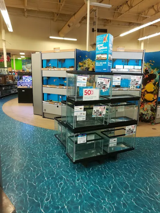 Petco Picture 2