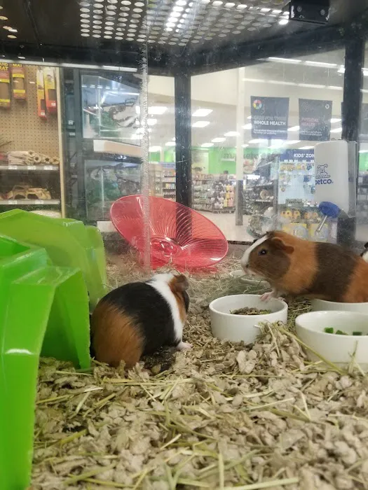 Petco Picture 8