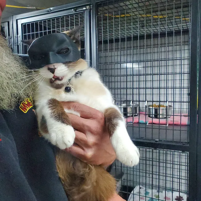 South Branch Animal Hospital Picture 9