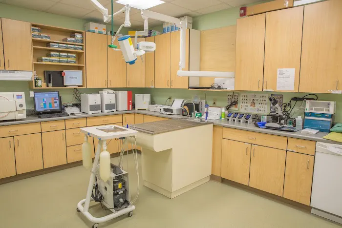 South Branch Animal Hospital Picture 7