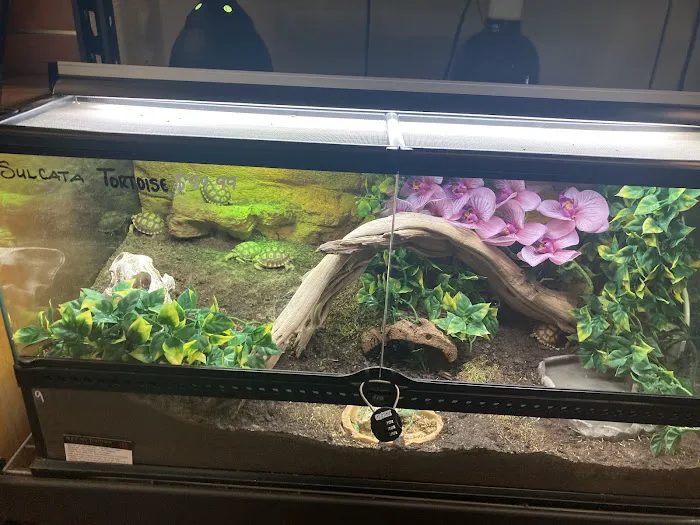 The Serpentarium Picture 1