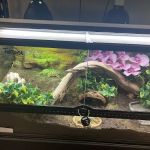 The Serpentarium