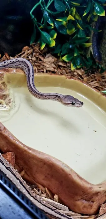 The Serpentarium Picture 4