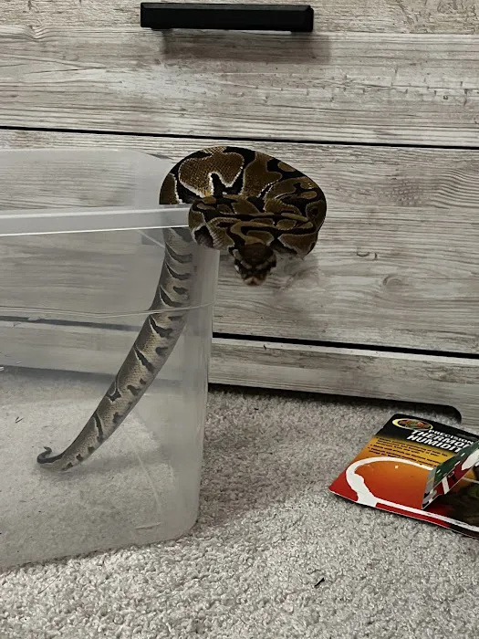 The Serpentarium Picture 7
