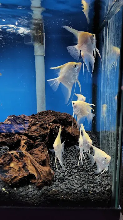 Tropical Haven Picture 4