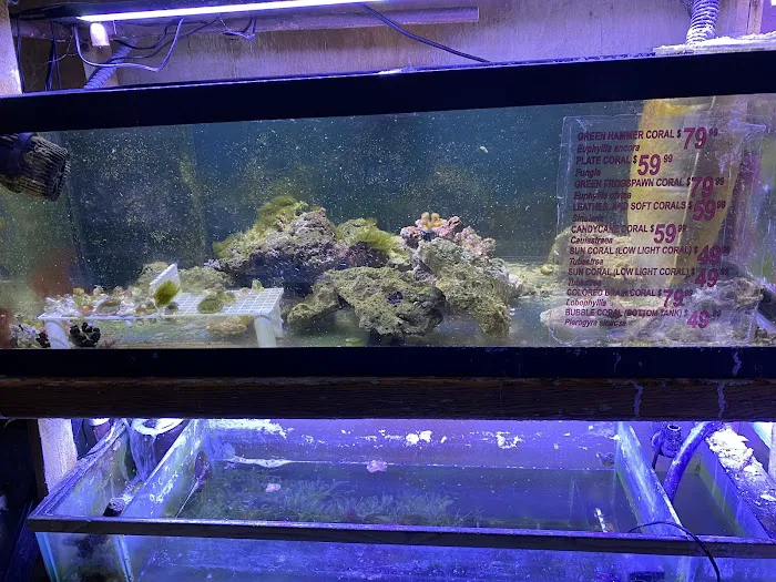 Tropical Haven Picture 8