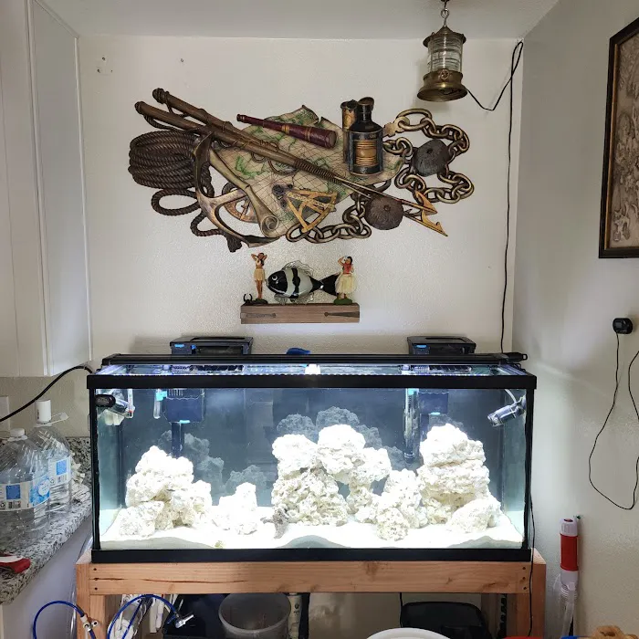 Tropical Haven Picture 9