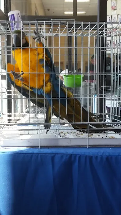 Petco Picture 4
