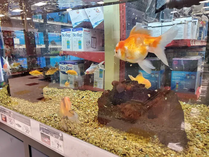 Petco Picture 7