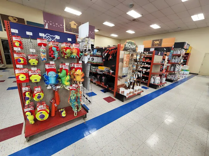 Petco Picture 5