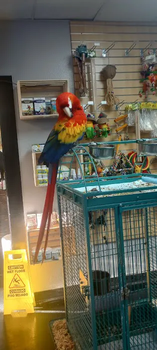 Canela pet shop LLC Picture 8