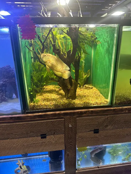 Canela pet shop LLC Picture 4
