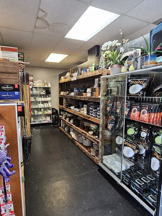 Canela pet shop LLC Picture 10