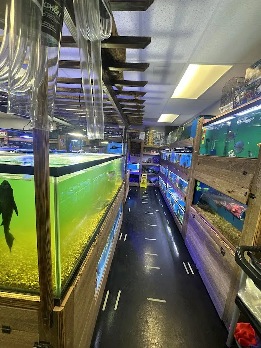 Canela pet shop LLC Picture 6