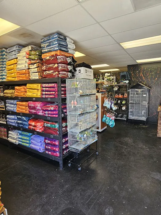 Canela pet shop LLC Picture 5