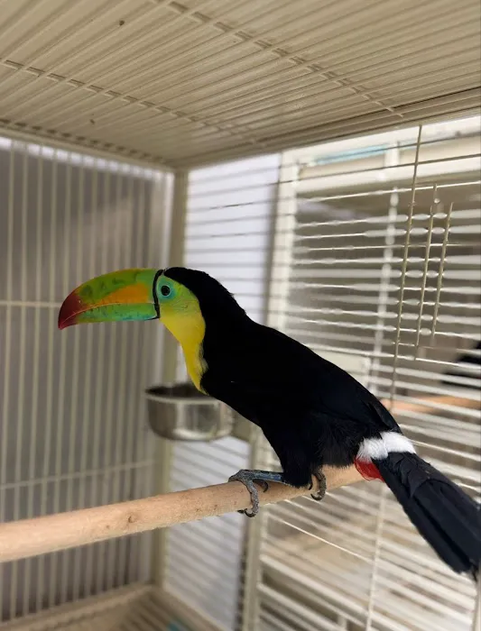 Canela pet shop LLC Picture 2