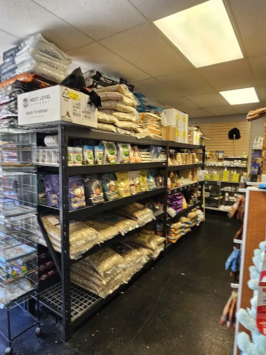 Canela pet shop LLC Picture 9