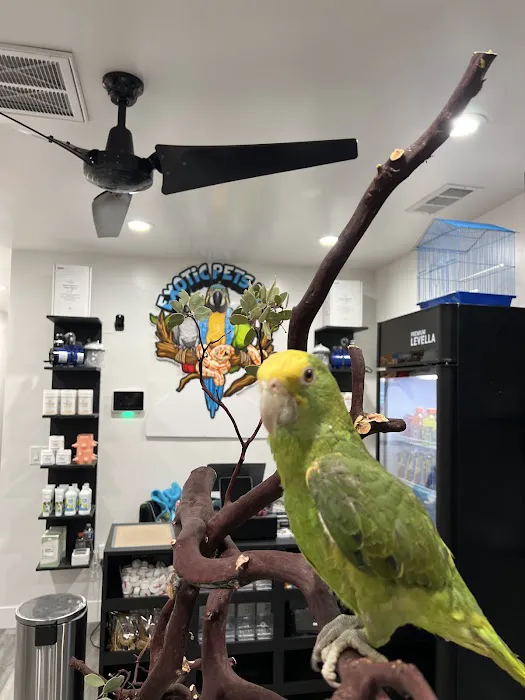 Exotic Pets 701 inc Picture 4