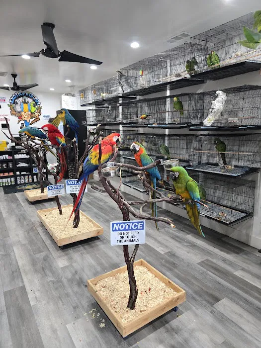 Exotic Pets 701 inc Picture 2