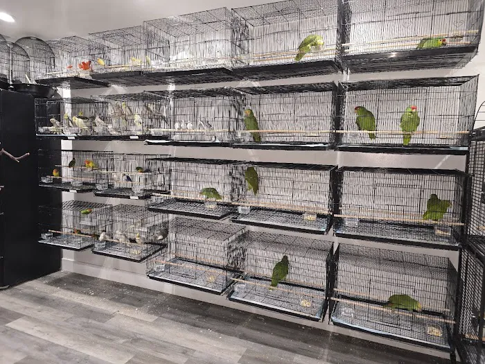 Exotic Pets 701 inc Picture 5