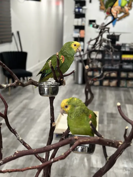 Exotic Pets 701 inc Picture 7