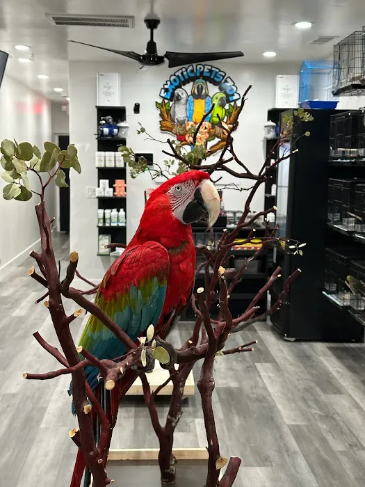 Exotic Pets 701 inc Picture 9