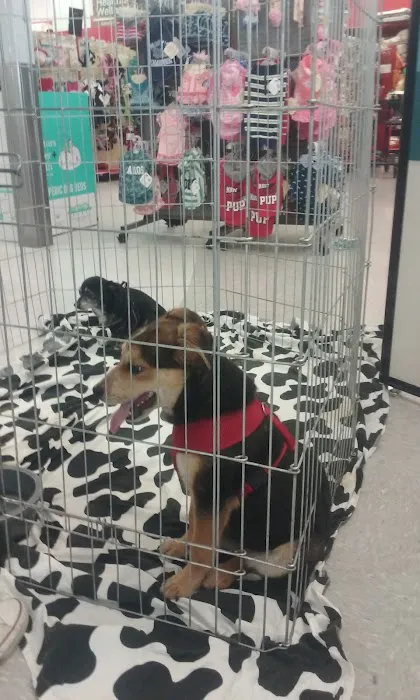 Petco Picture 1