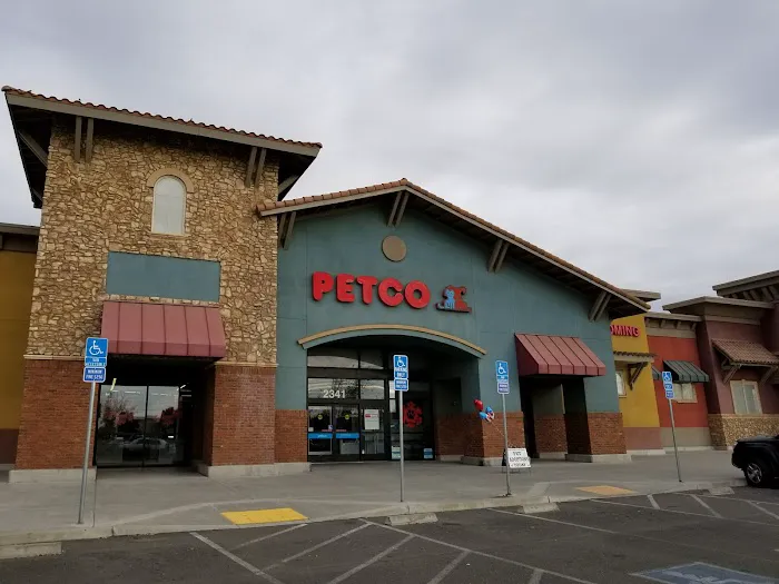 Petco Picture 10
