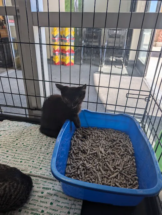 Petco Picture 4