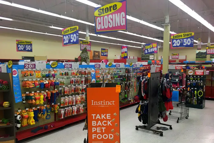 Petco Picture 2