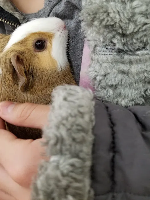 Petco Picture 8