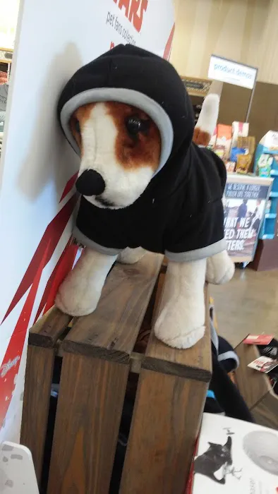 Petco Picture 3