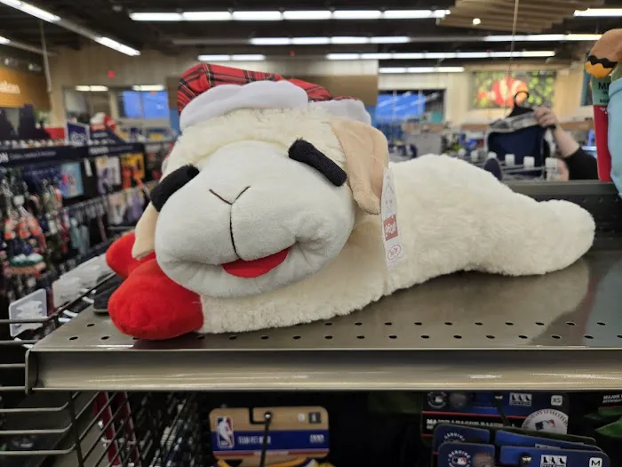 Petco Picture 10