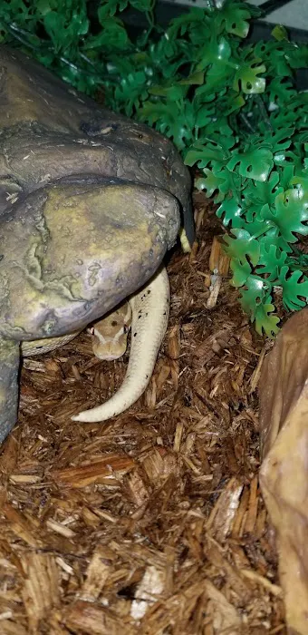 The Serpentarium, Inc. Picture 9