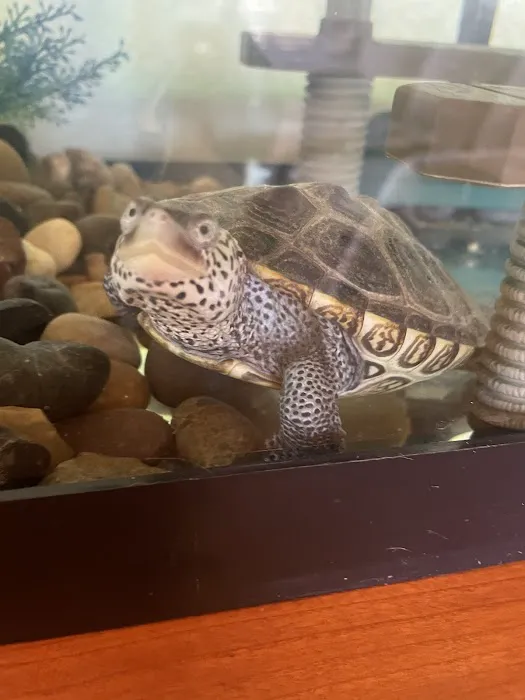 The Serpentarium, Inc. Picture 10