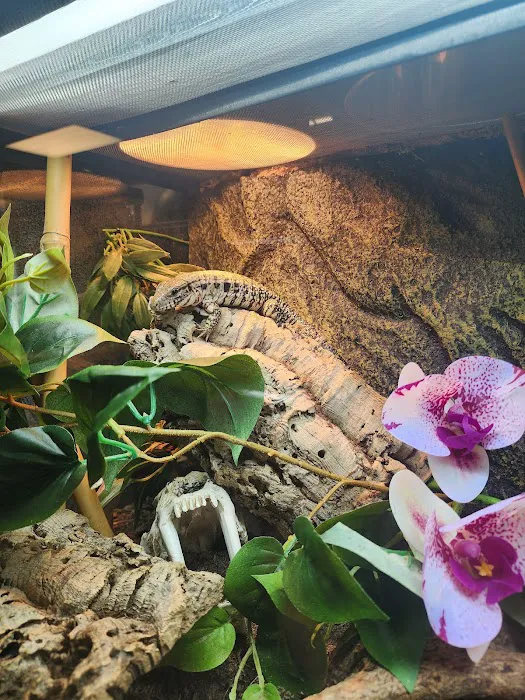 The Serpentarium, Inc. Picture 3