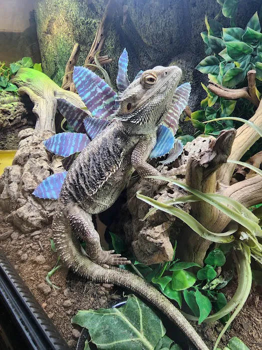 The Serpentarium, Inc. Picture 1