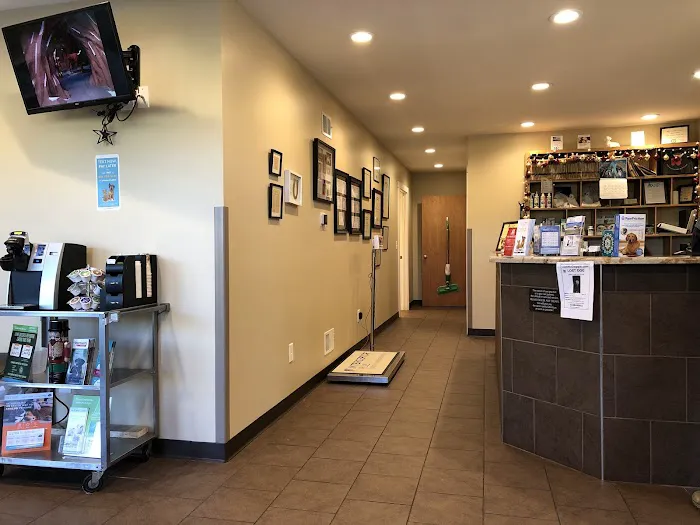 Ashby Animal Clinic Picture 8