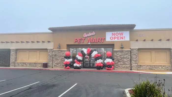 Carter’s Pet Mart Lodi Picture 5