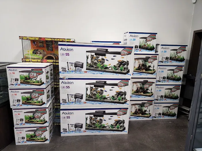 Carter’s Pet Mart Lodi Picture 6