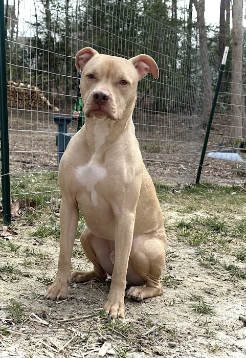 Hope Animal Hospital Picture 4