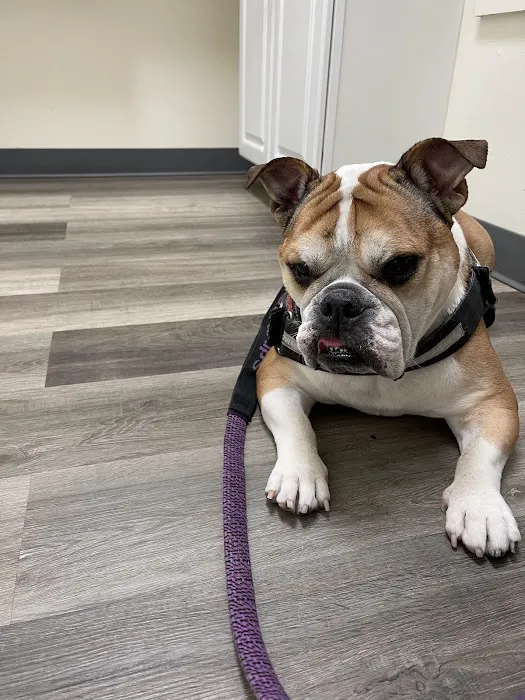 Hope Animal Hospital Picture 2