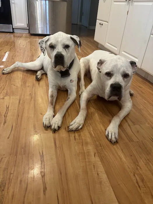 Hope Animal Hospital Picture 8