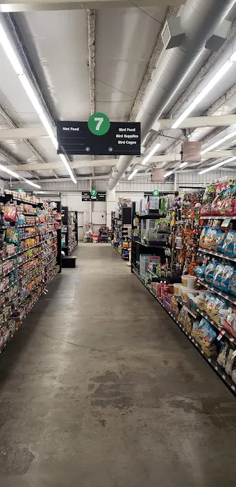 Pet Supplies Plus Lodi Picture 3