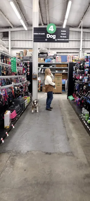Pet Supplies Plus Lodi Picture 1