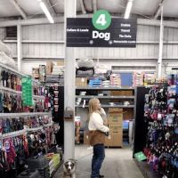 Pet Supplies Plus Lodi ico