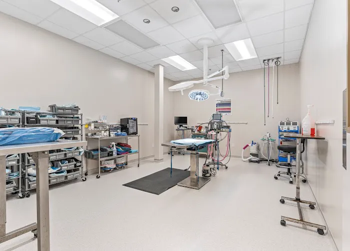 Virginia Veterinary Centers - Fredericksburg Picture 5