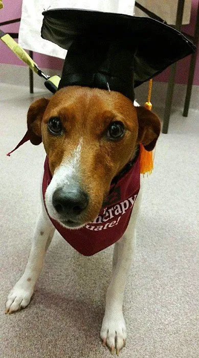 Virginia Veterinary Centers - Fredericksburg Picture 7